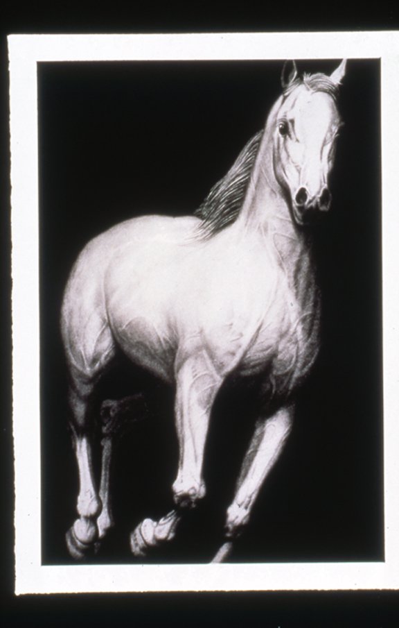 Artspace_LandfallPress_2001_04
