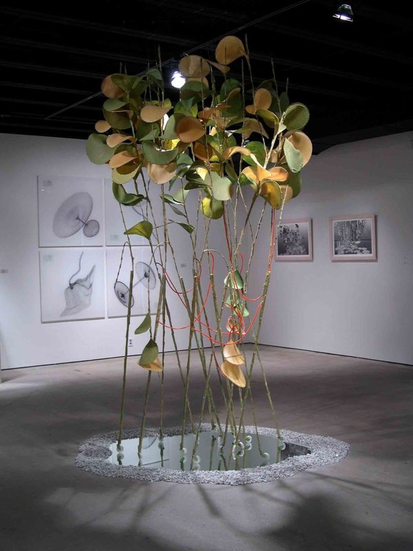 Artspace_UnNaturally_2003_06-950x1267