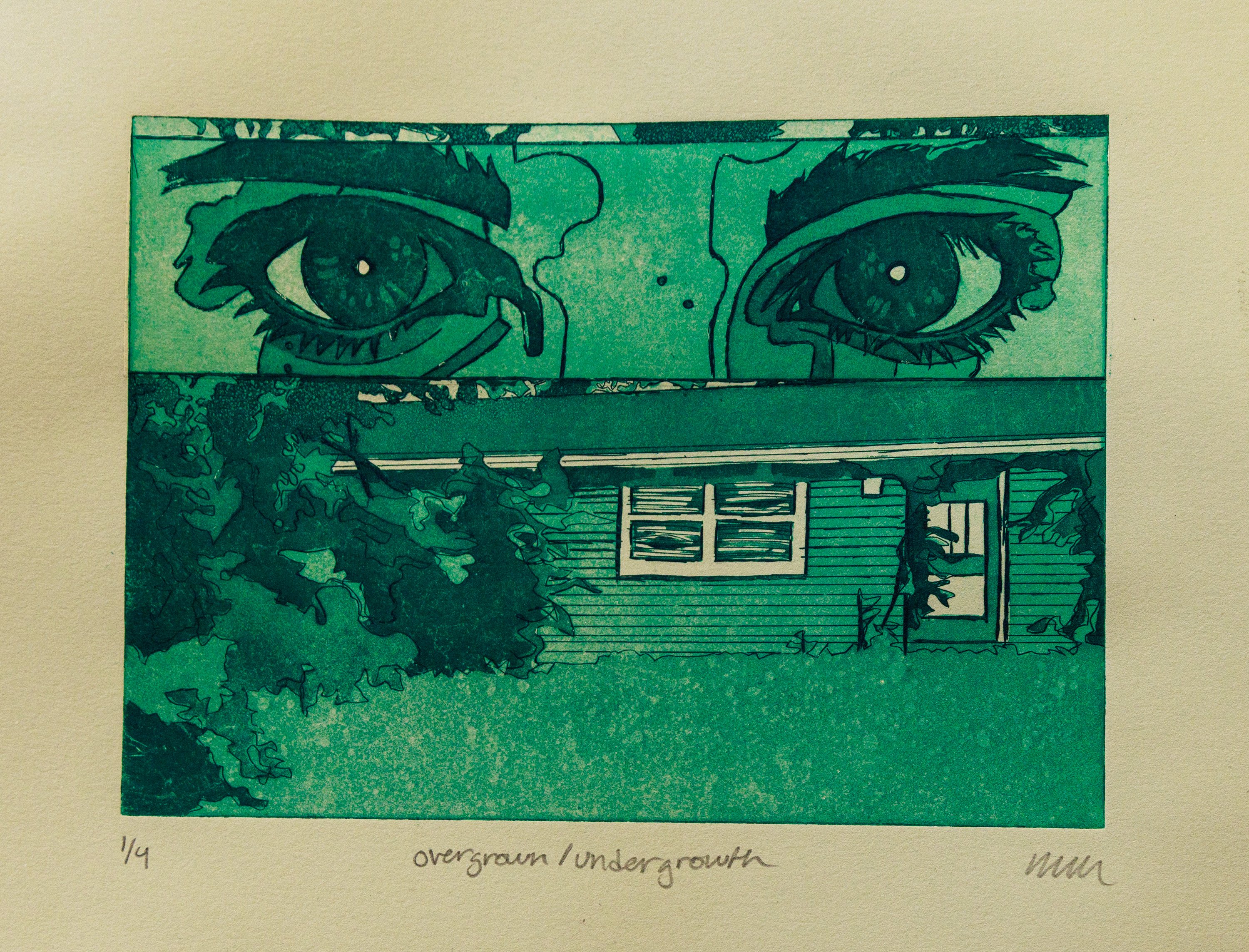 Macie Martin - overgrown undergrowth