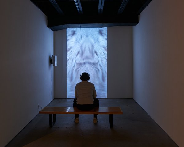 NewFive_Biennial_Rowell
