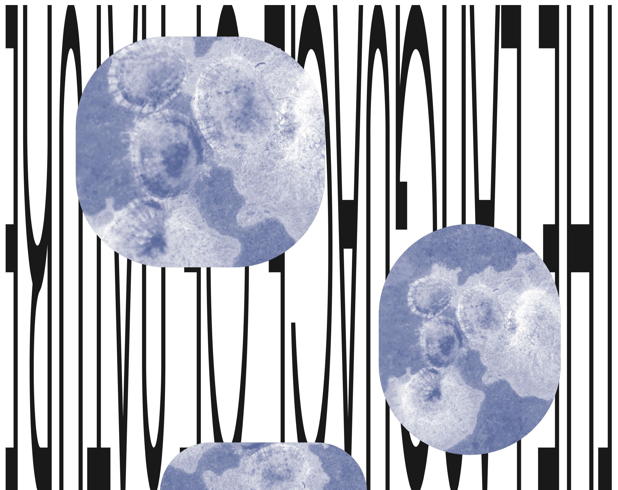 RylieLawver_GraphicDesign_2021