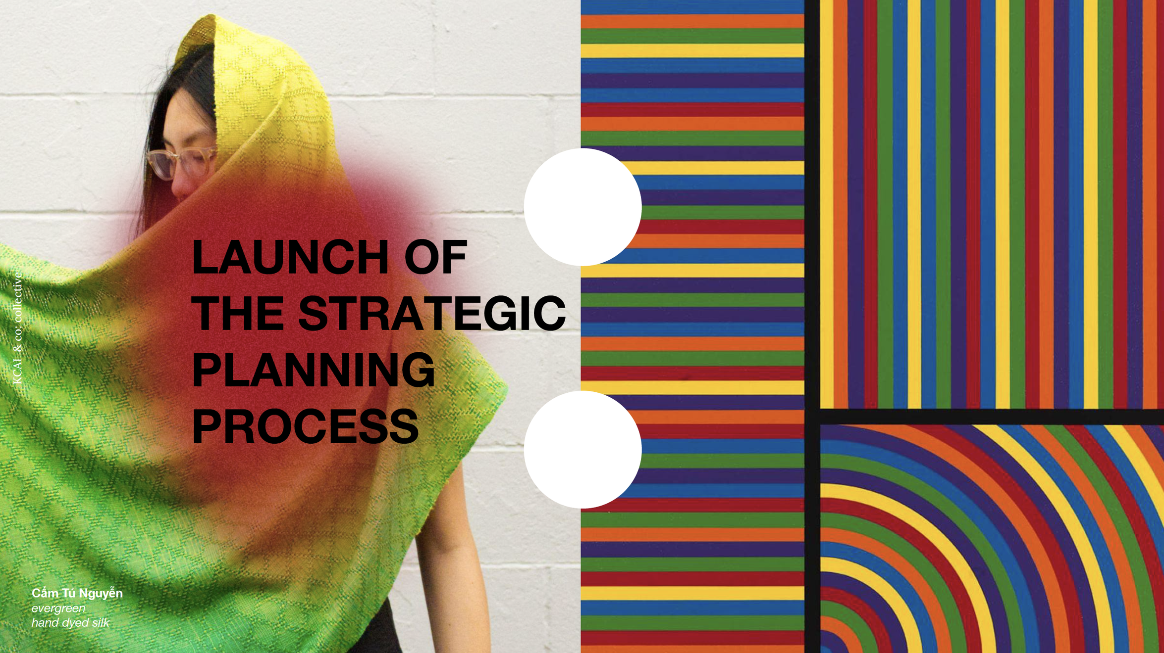 Strategic Plan launch