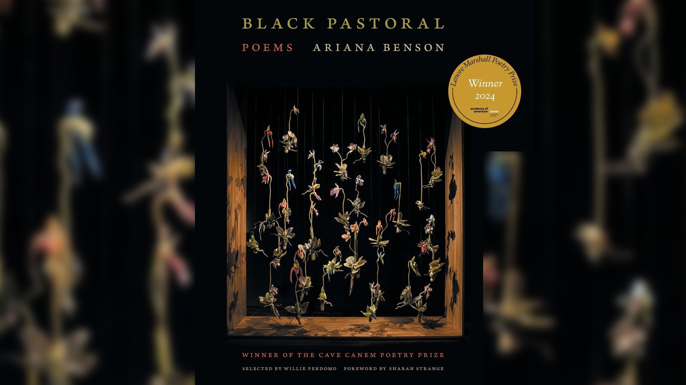 black pastoral 169