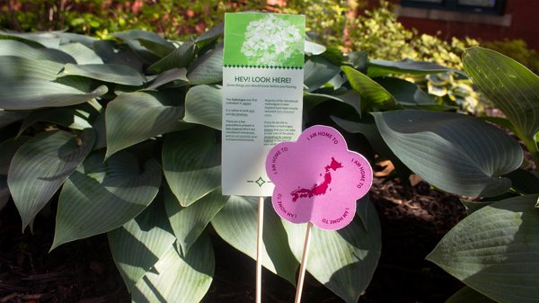 Sefira Robinson Botanical labels 1
