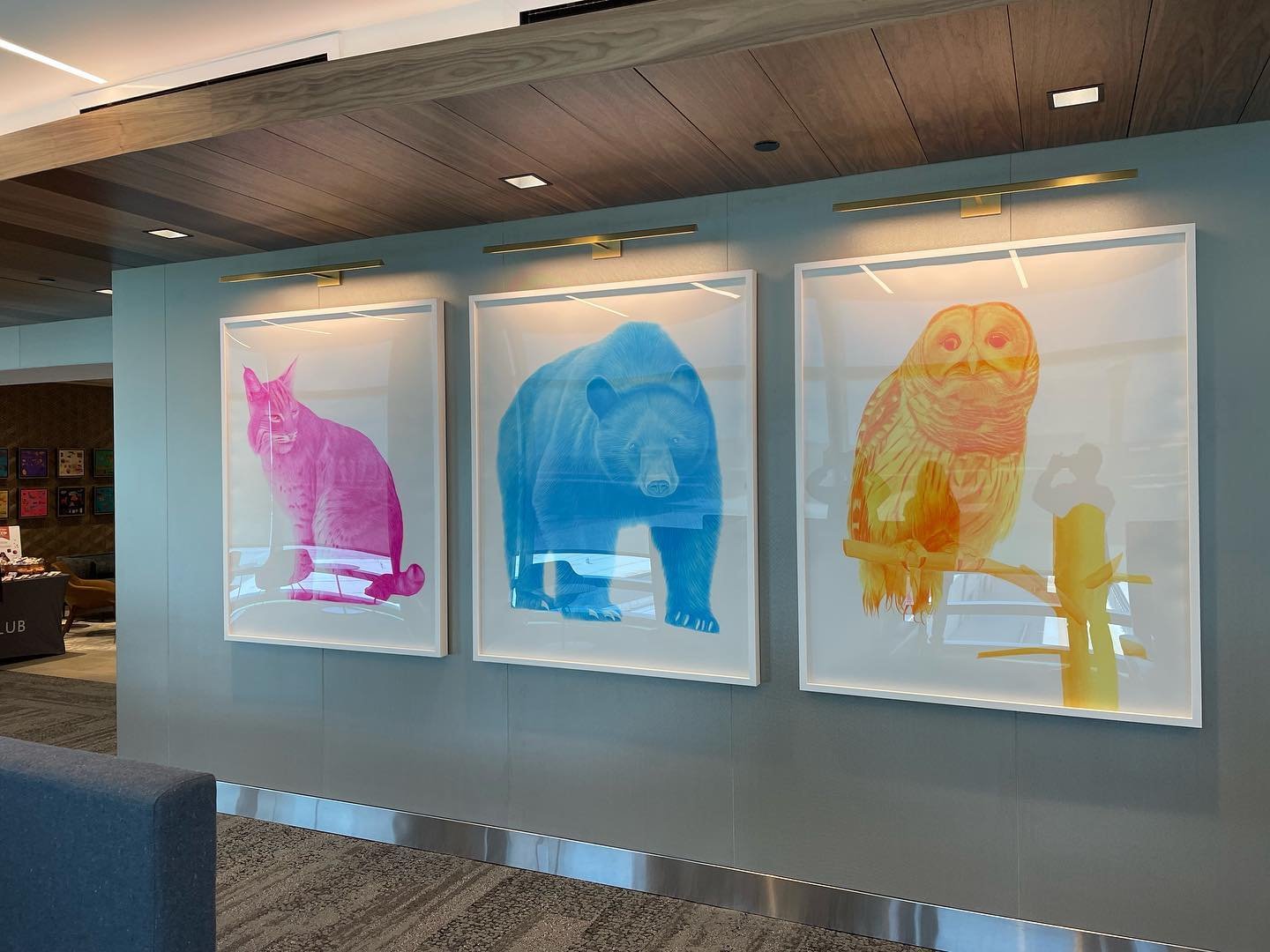 Steve Snell art in Delta SkyClub