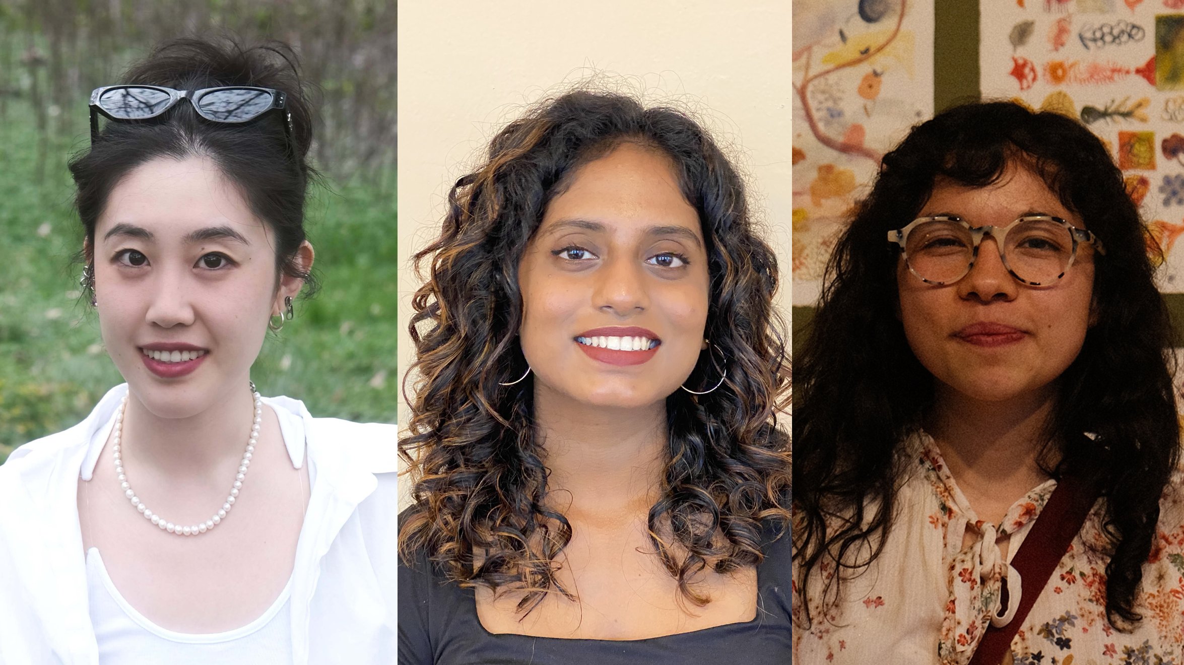 triple box AICAD Fellows