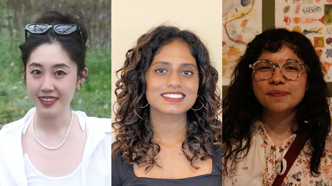 triple box AICAD Fellows
